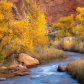 Capitol Reef National Park
