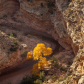 Capitol Reef National Park