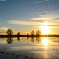 Yolo Bypass Wildlife Area