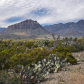 Big Bend National Park