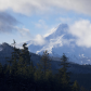 Mount Hood National Forest