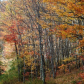 Blue Ridge Parkway