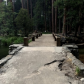 Yosemite National Park 