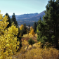 Humboldt-Toiyabe National Forest