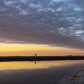 Eastern Shore of Virginia National Wildlife Refuge