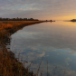Eastern Shore of Virginia National Wildlife Refuge