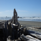 Olympic National Park