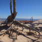 Bryce Canyon National Park