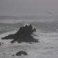 Yaquina Head Outstanding Natural Area