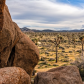 Joshua Tree National Park
