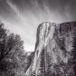 Yosemite National Park
