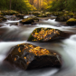 Great Smoky Mountains National Park