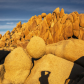Joshua Tree National Park