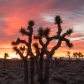 Death Valley National Park