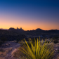 Big Bend National Park