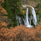 Shasta-Trinity National Forest