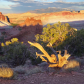 Capitol Reef National Park