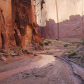 Paria Canyon-Vermillion Cliffs Wilderness