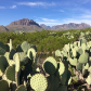Big Bend National Park