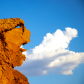Gold Butte National Monument