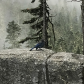 Mount Rainier National Park