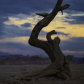 Capitol Reef National Park