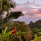 National Park of American Samoa