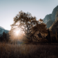 Yosemite National Park