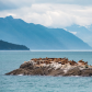 Glacier Bay National Park
