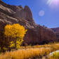 Capitol Reef National Park