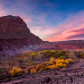 Capitol Reef National Park