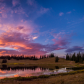 Uinta National Forest