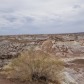 Petrified Forest National Park