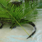 Everglades National Park