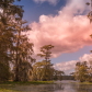 Atchafalaya Basin