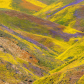Carrizo Plain National Monument