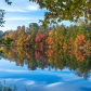 Cherokee National Forest