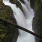 Olympic National Park