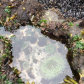 Siletz Bay National Wildlife Refuge
