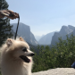 Yosemite National Park