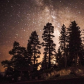 Sequoia National Park