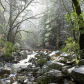 Yosemite National Park
