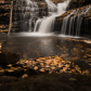 Obed Wild & Scenic River