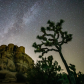 Joshua Tree National Park