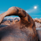 Alabama Hills National Recreation Area