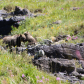 Glacier National Park