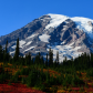 Mount Rainier National Park