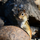 Monomoy National Wildlife Refuge