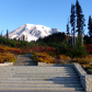 Mount Rainier National Park