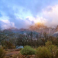 Zion National Park